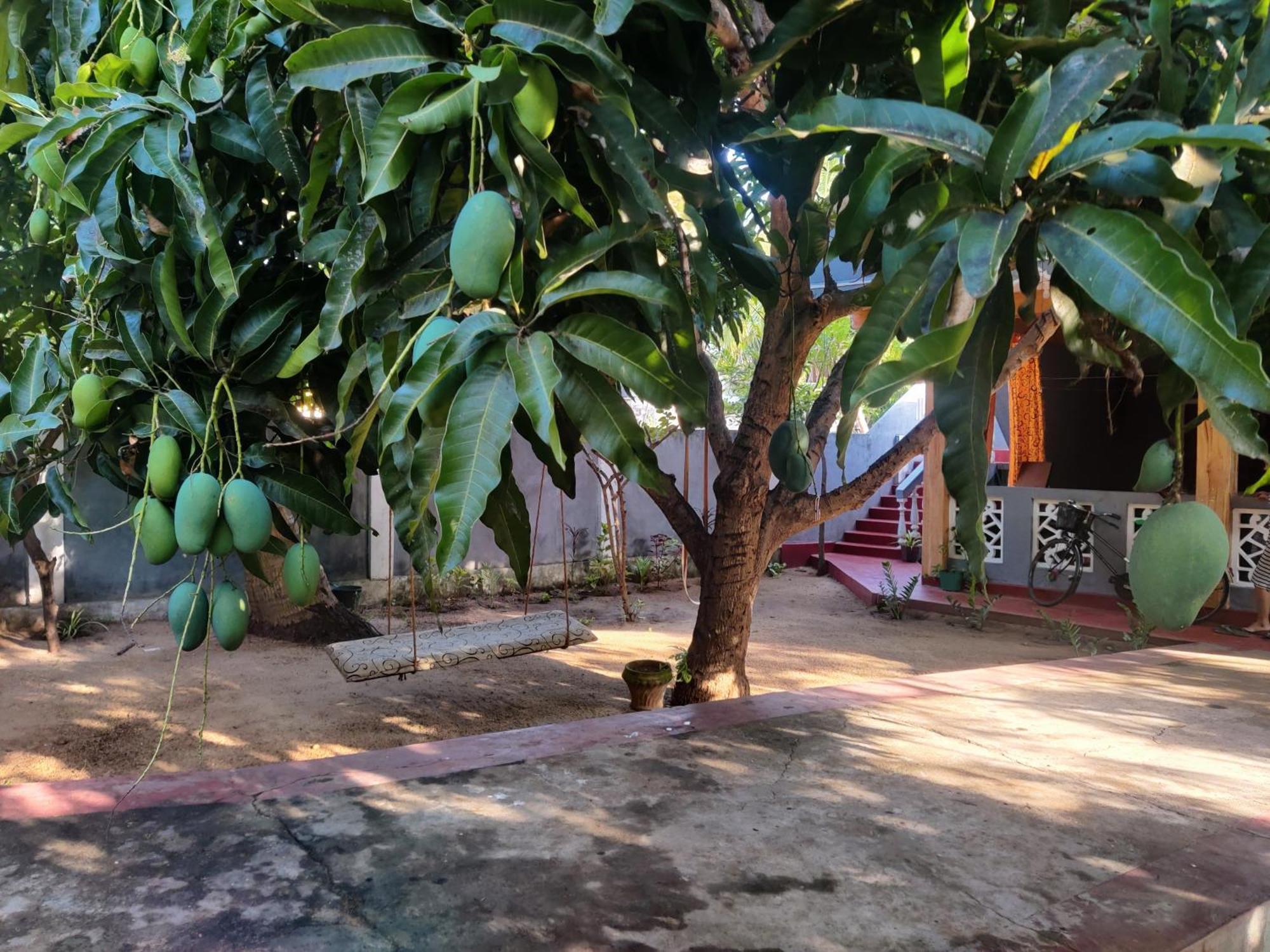 Enoch Guest House Маннар Экстерьер фото